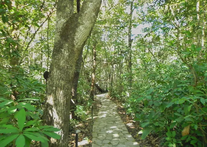 Pousada Eden - Conforto, Imersao E Natureza