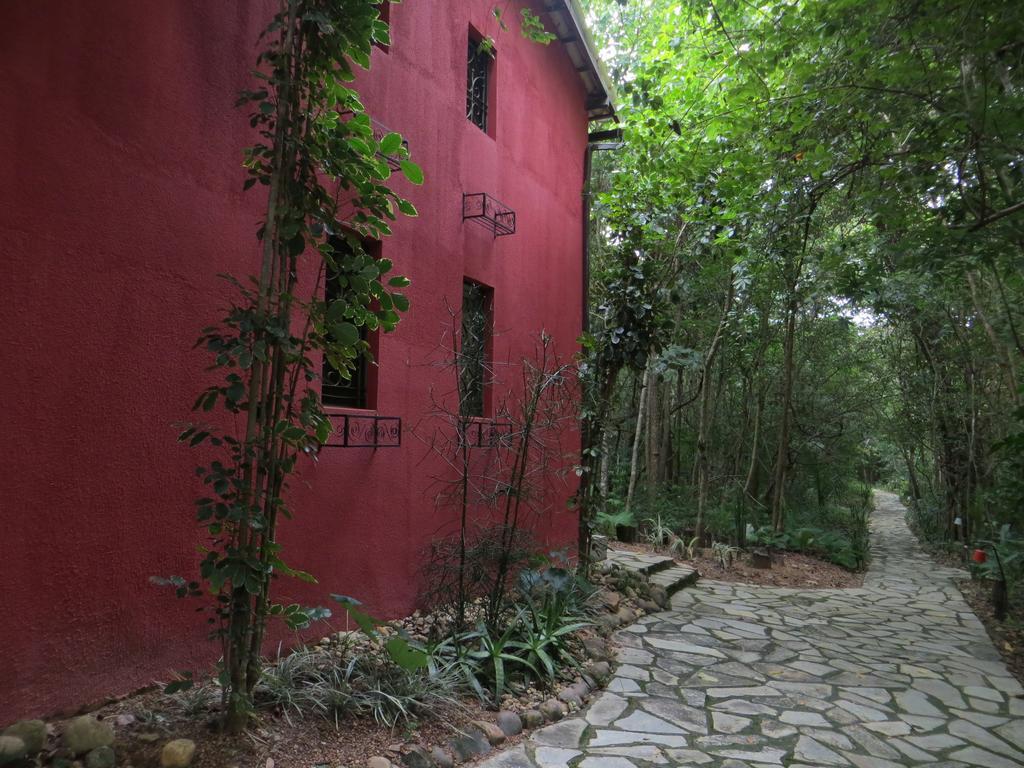 Eden - Conforto, Imersao E Natureza