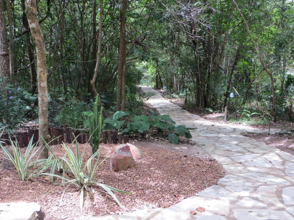 Inn Eden - Conforto, Imersao E Natureza